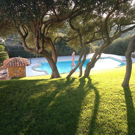 B&B Tramentu Ozieri Bagian luar foto